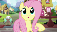 Fluttershy calling out to Dr. Fauna S7E5