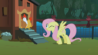 Fluttershy scaring the chickens S01E17