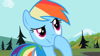 Rainbow Dash hmmm S2E7