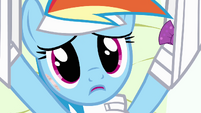 Rainbow Dash touched by Fluttershy's words S4E10