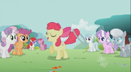 S02E06 Wszyscy patrzą na Apple Bloom