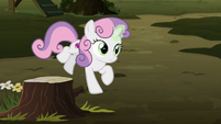 Sweetie Belle jumping off the tree stump S8E10