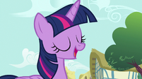 Twilight Sparkle "what was your favorite" S7E14