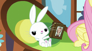 Angel holding a copy of Wuthering Hooves S5E23.png