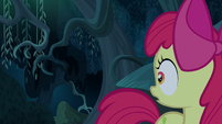 Apple Bloom misses seeing the shadow S5E4