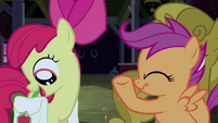 Apple Bloom taking out something inside the saddlebag S3E04