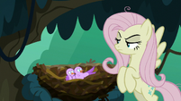Bird chirping at fake Fluttershy S8E13