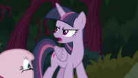 Fake Twilight -don't even know where we're going!- S8E13