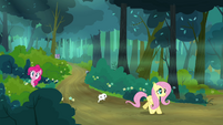 Fluttershy walking in the forest S4E18