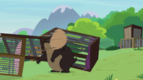 Grizzy bear gets head caught in wicker basket S7E5