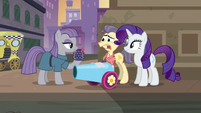 Pouch Pony scared of Maud S6E3