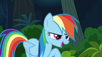 Rainbow Dash --in half the time Daring Do can!-- S6E13