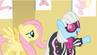 S01E20 Photo Finish rozmawia z Fluttershy