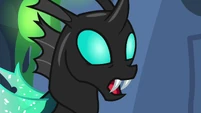 Thorax "I know this trick" S6E26