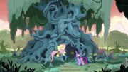 Twilight and Fluttershy in front of Meadowbrook's house S7E20