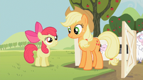 Apple Bloom and Applejack outside of the sheep's pen S2E05