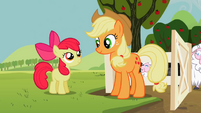 Apple Bloom and Applejack outside of the sheep's pen S2E05