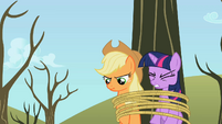 Applejack looks a little too mad to lie.