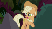 Fake Applejack pointing at a boulder S8E13