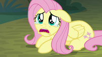 Fluttershy "everycreature is mad at me!" S8E13