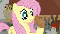 Fluttershy talking to Squirrel S4E1