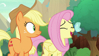 Fluttershy with a butterfly on her nose S8E23
