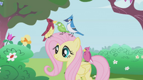 Fluttershy with birds S01E03