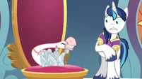 Goose snaps its teeth at Shining Armor S9E4