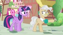 Mayor Mare points Twilight toward the gazebo S4E23