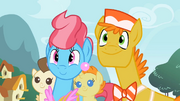 Mr. and Mrs. Cake hoping Fluttershy will foalsit for them S2E13.png