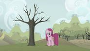 Pinkie Pie in front of withering tree S03E13