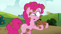 Pinkie looking at seed pods in her hooves S7E4