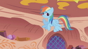 Rainbow Dash with her wings layered upside down.