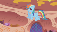 Rainbow Dash with upside down wings S1E03