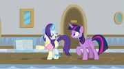 Rarity "Flam insists that everything extra" S8E16