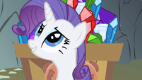 Rarity anything S1E19