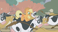 Applejack on top of a cow.