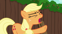 Applejack shouting "no time!" S6E14