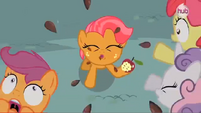 CMC are scared of getting pelted by seeds S3E4