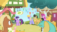 The Cutie Mark Chronicles