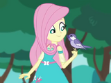 Fluttershy (EG)