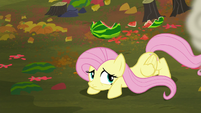 Fluttershy crawling away from the fight S5E23