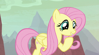 Fluttershy excited as she enters hatching grounds S9E9