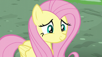Fluttershy smiling awkwardly at Rainbow S6E11