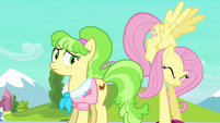 Fluttershy struggles with Peachbottom's luggage S03E12