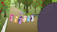 Mane Six looking at Mr. Tortoise-Snap S9E13