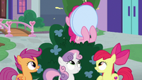 Pinkie Pie stuffing her face with cupcakes S8E12