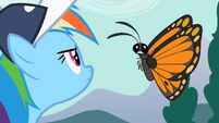 Rainbow Dash "Can't hear you" S2E07