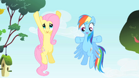 Rainbow Dash and Fluttershy talking at the same time S1E25