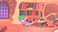 Spike letting apples go through his tail S1E24